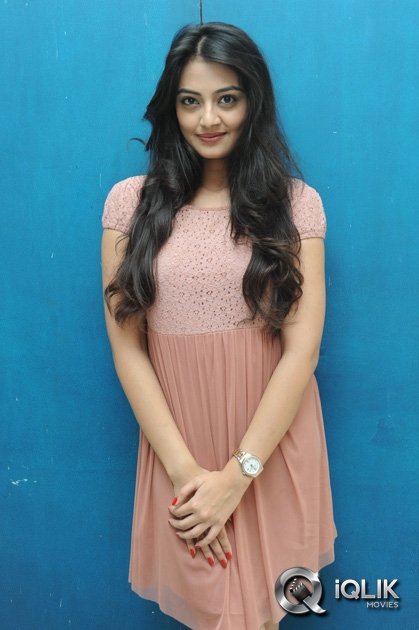 Nikitha-Narayan-at-Ladies-and-Gentlemen-Movie-Song-Launch